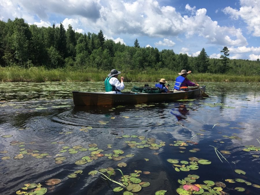 Canoeing through the Lily pads